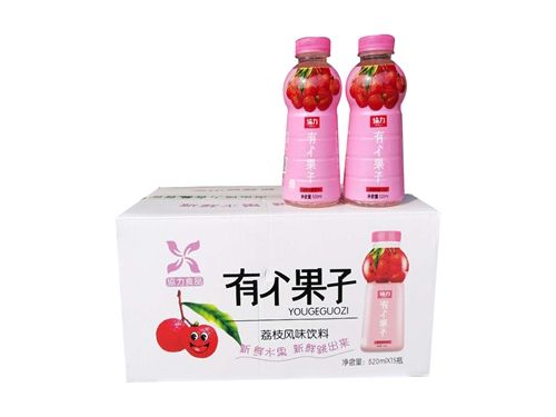 西柚風(fēng)味飲料1*15*520ml